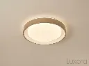 Matte Gold Ceiling Mounted Cove Light Centered Hero.webp