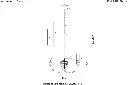 225241607.webp