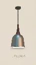 Conical Pendant Lamp Three-Quarter Angle.webp