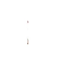 2.webp