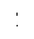 2(1).webp