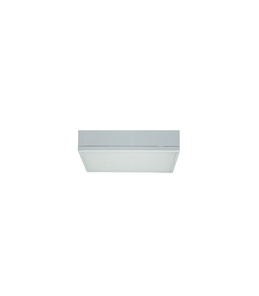 LW-SUR-802-SQ (2).webp