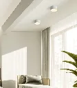 LW_SUR_822.webp
