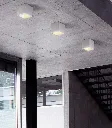 LW_SUR_220.webp