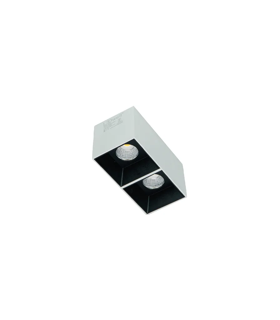 LW-SUR-221-12wx2-SQ-WHT-1.webp