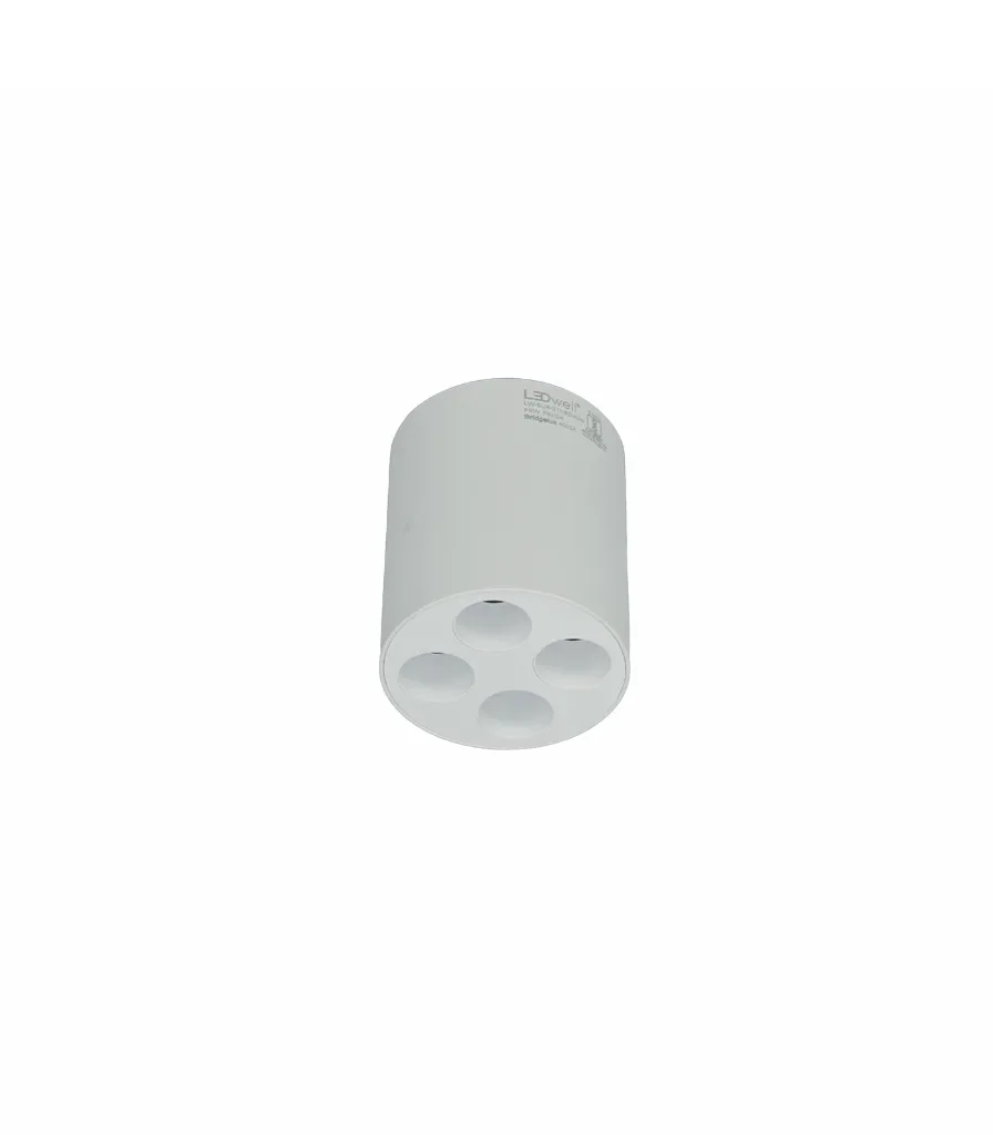 LW-SUR-211-RD-10W-1.webp