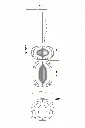 Ribbed Pendant Lamp Technical Drawing.webp
