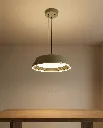 Olive Green Gold Pendant Lamp Installation.webp