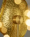 AMEBA - Artistic Detail Shot.webp