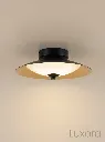 Black Gold Ceiling Light Centered Hero.webp