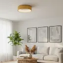 ceiling-lamp-aluminium-pc-gold.webp
