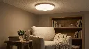 Reading Nook Scene.webp