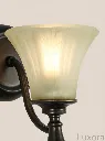 Dark Bronze Wall Sconce Frosted Glass Detail.webp