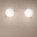 Orb