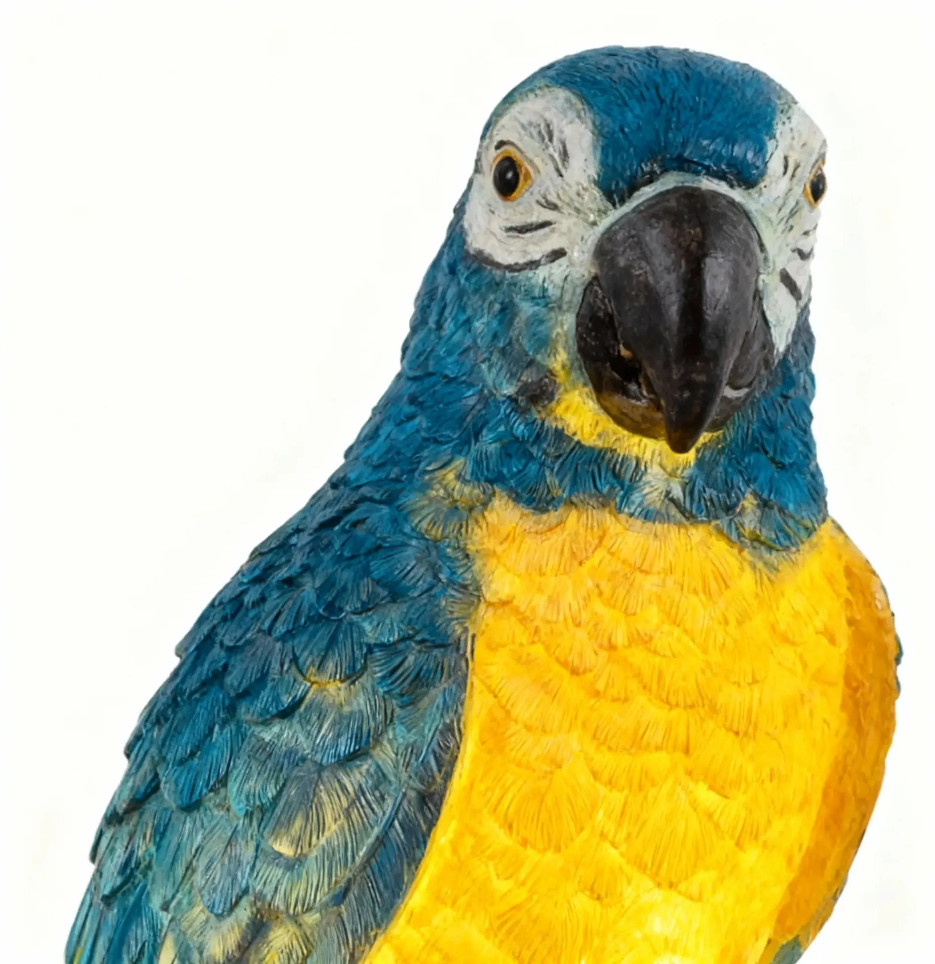 PARROT
